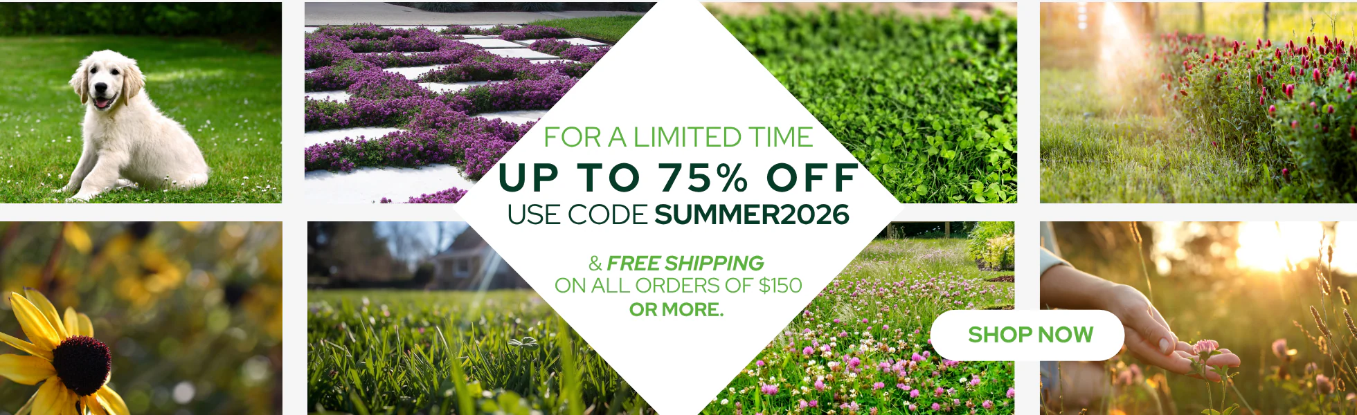 Cultivate Your Perfect Green Escape