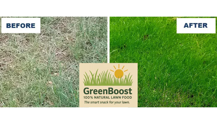 GreenBoost™ Natural Lawn Food - The Smart Snack for Your Lawn.™ - Image 3