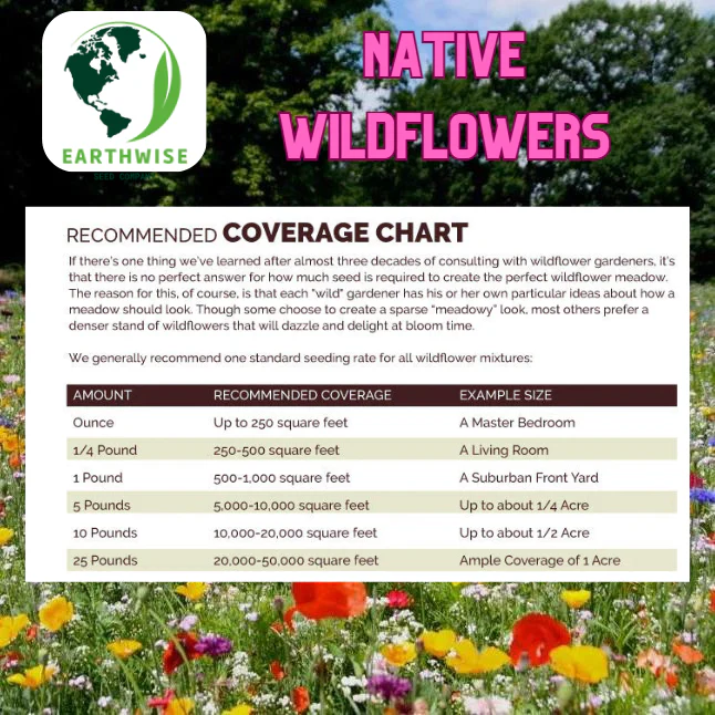 Midwest Native Wildflower Mix - Image 4