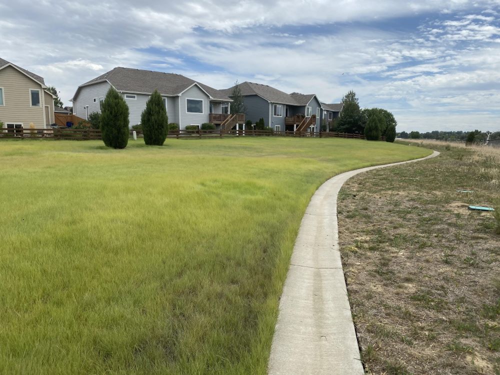 TrueGrass Native Grass Seed - The No Maintenance Native Lawn, Drought-Tolerant, Eco-Friendly Grass Blend - Image 4